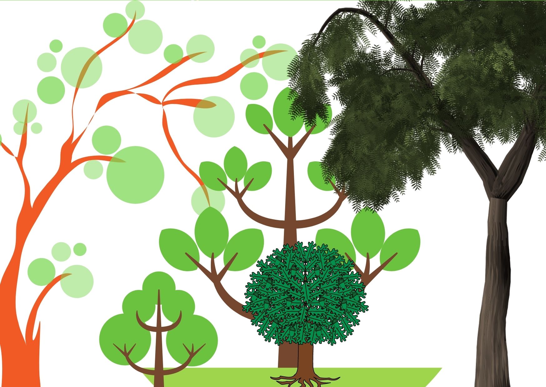 SHORON PORIBESH UNNAYAN FOUNDATION is a community Based non-profit, non-government and development organization committed to maintain ecological balance and create harmony between humans and nature. Ngo working for environment protection was Registered as an NGO from the NGO Affairs Bureau, Government of Bangladesh.