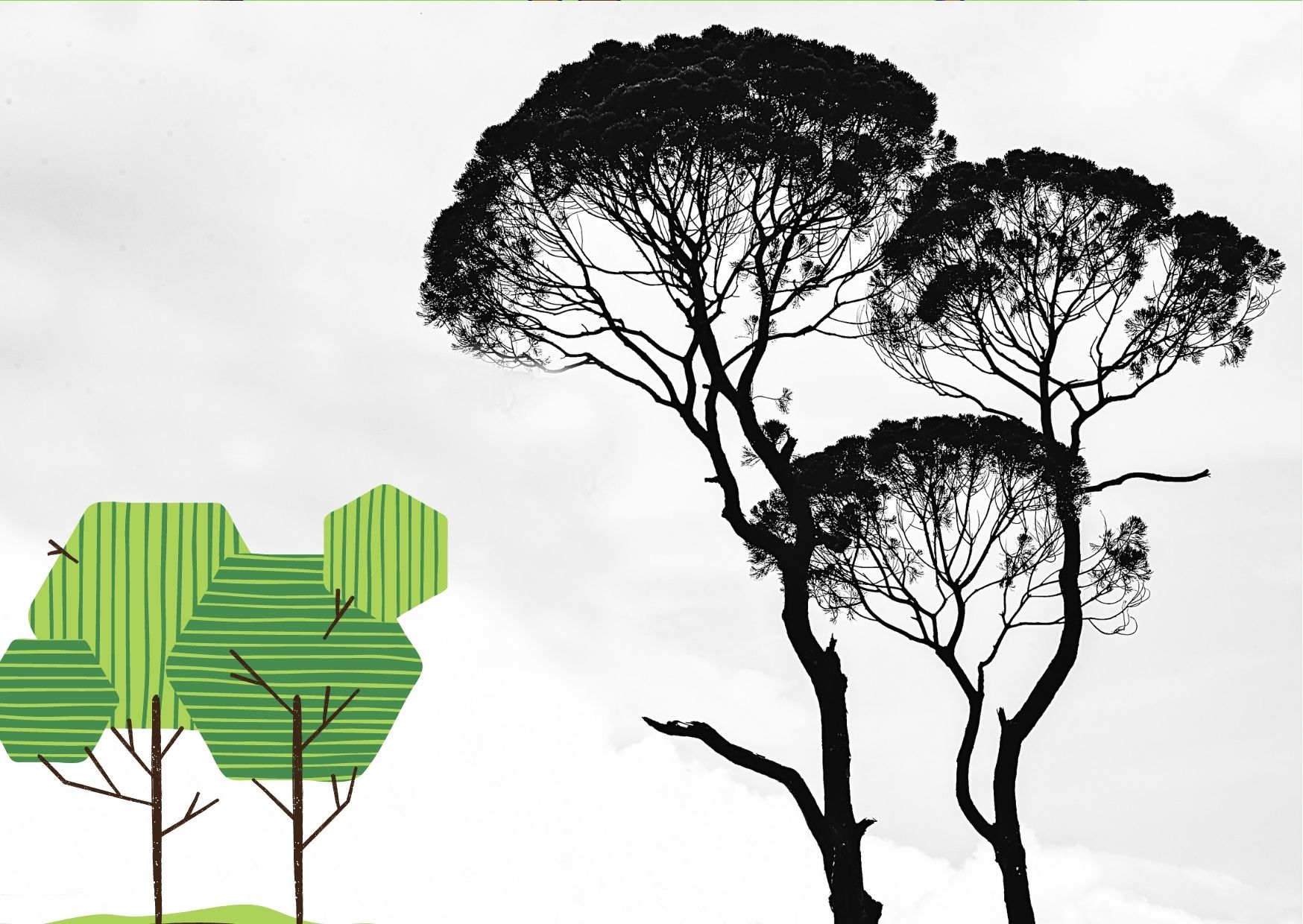 SHORON PORIBESH UNNAYAN FOUNDATION is a community Based non-profit, non-government and development organization committed to maintain ecological balance and create harmony between humans and nature. Ngo working for environment protection was Registered as an NGO from the NGO Affairs Bureau, Government of Bangladesh.