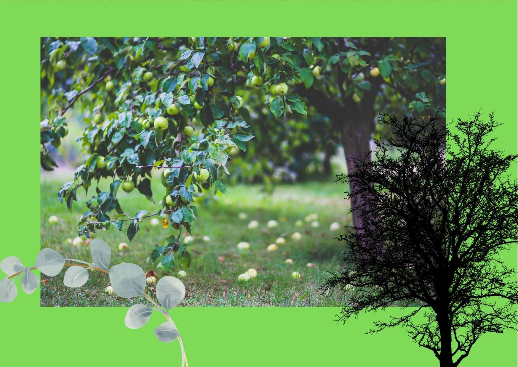 Ngo working for environment protection