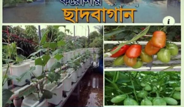 SHORON PORIBESH UNNAYAN FOUNDATION is a community Based non-profit, non-government and development organization committed to maintain ecological balance and create harmony between humans and nature. Ngo working for environment protection was Registered as an NGO from the NGO Affairs Bureau, Government of Bangladesh.